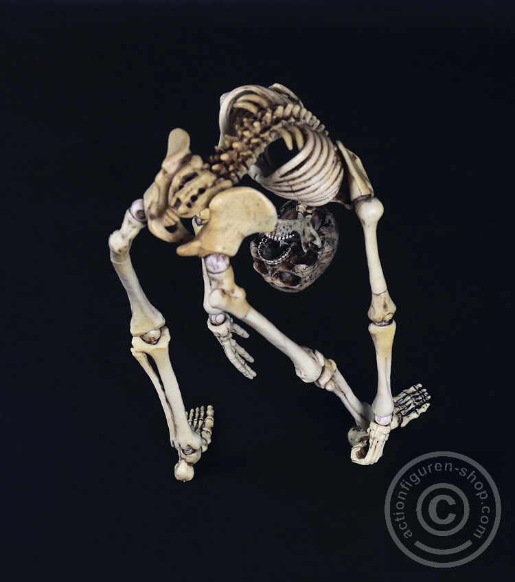 Skeleton Spear Soldier - Human Skeleton in 1:6