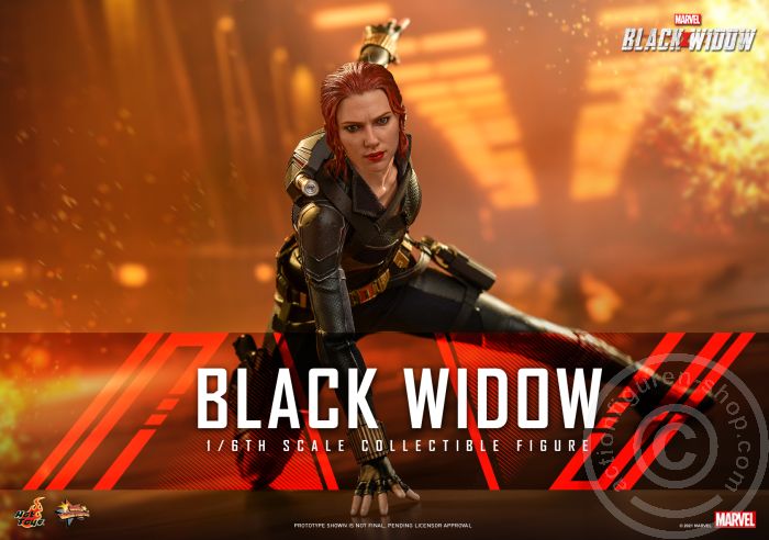 Black Widow - Black Widow - MMS603 Black Widow - Black Widow - MMS603