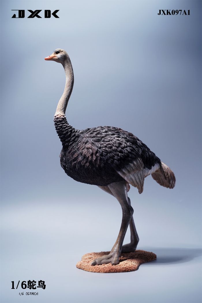 JXK097A2-02 Ostrich - w/ Saddle & Bridle - Version A2