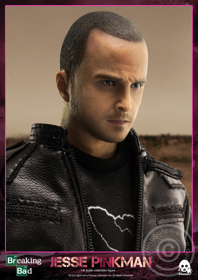 3A-TZ-BB002-21 Jesse Pinkman - Breaking Bad