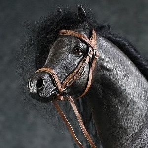 mrz051-bmCXwYvvGtAQvi European Harness