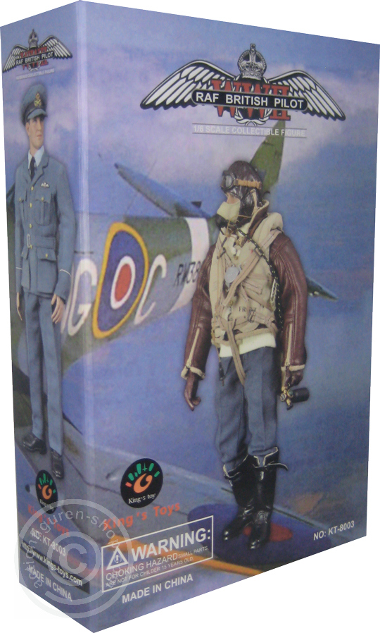 RAF British Pilot