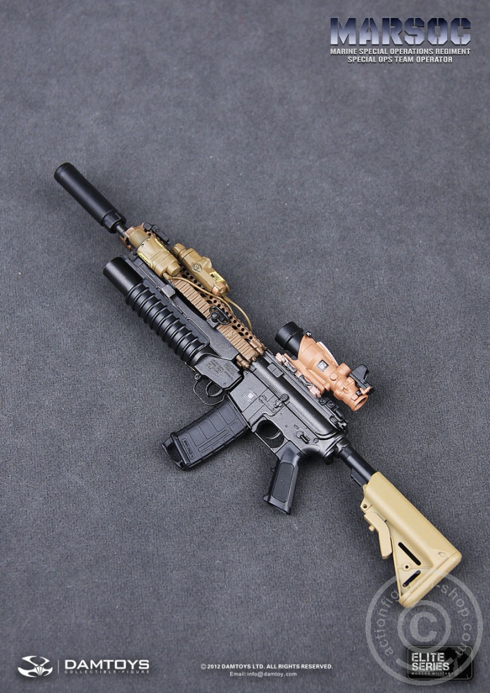 DA78007-48 MARSOC - Special OPS Team Operator