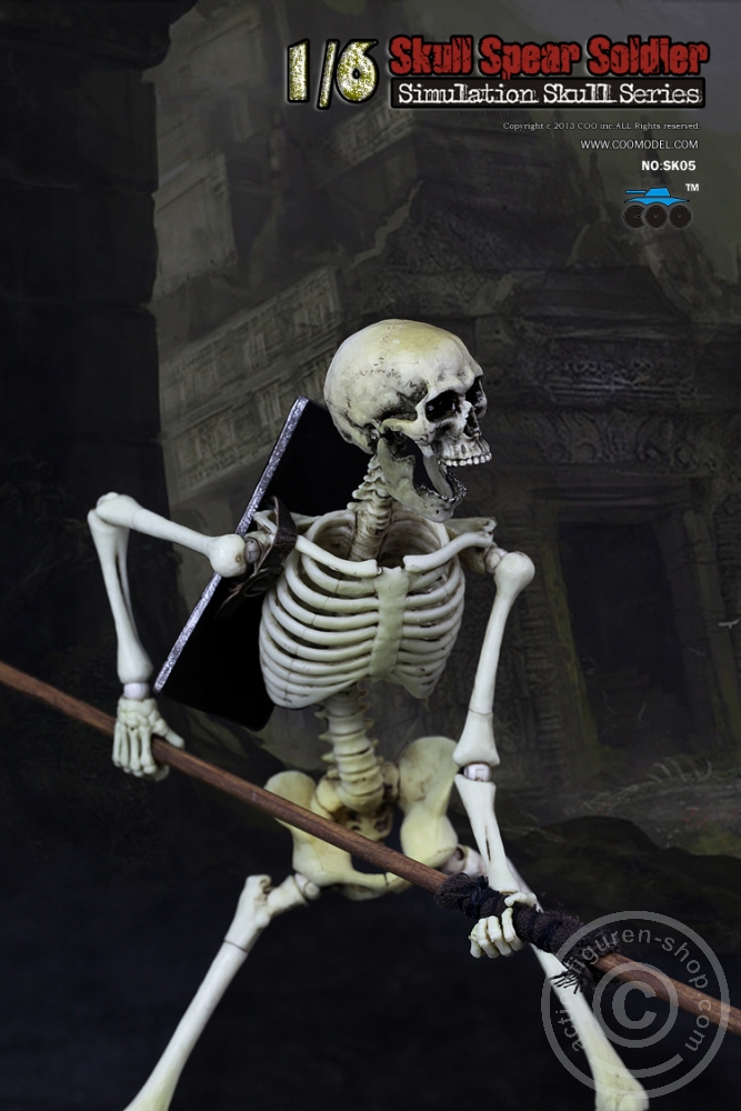 Skeleton Spear Soldier - Human Skeleton in 1:6