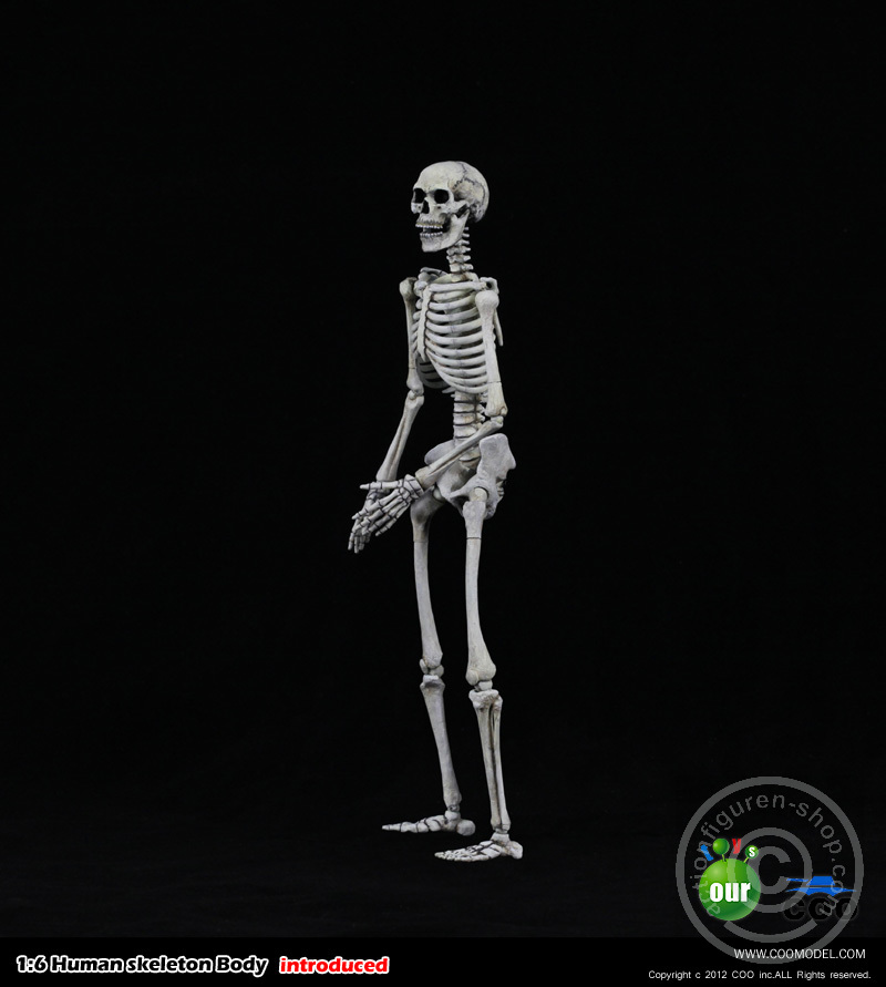 Skeleton Spear Soldier - Human Skeleton in 1:6