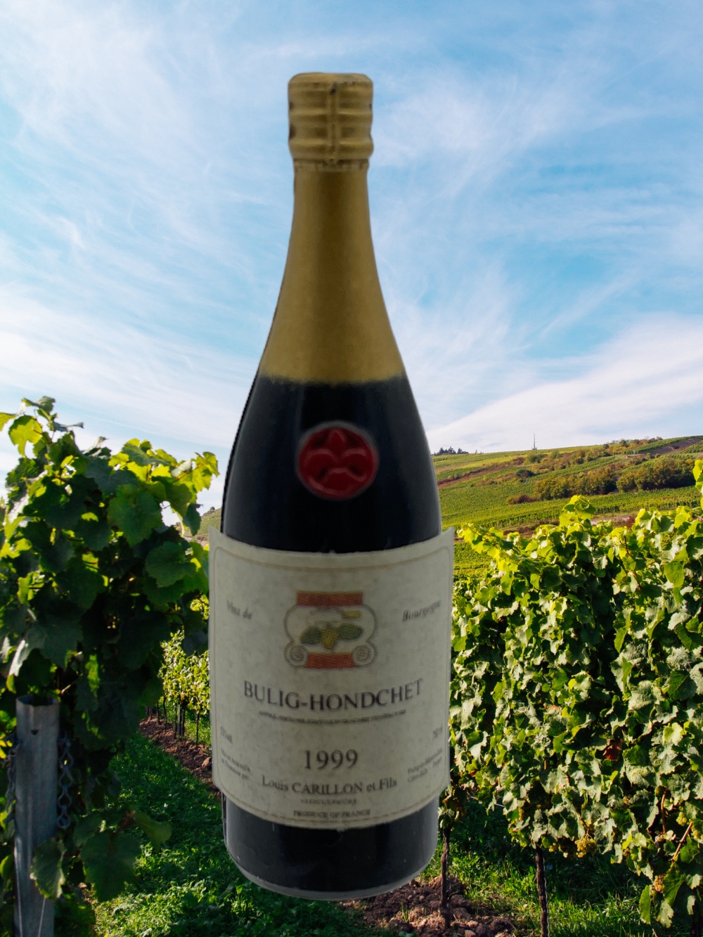 Wein Bottle - Bullig-Hondschat 1999 - in 1:6 scale Wein Bottle - Bullig-Hondschat 1999 - in 1:6 scale