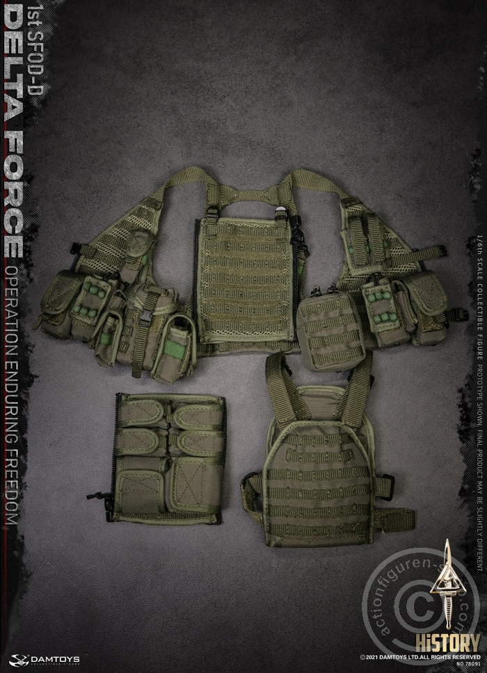Delta Force 1st SFOD-D -Operation Enduring Freedom