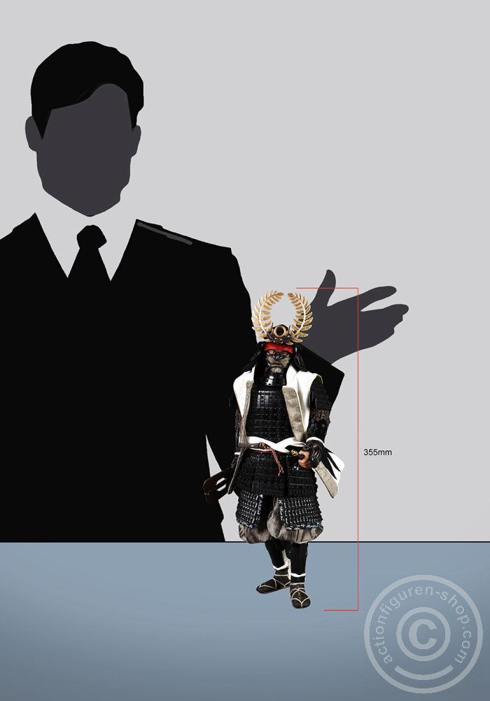 Shogun Tokugawa Ieyasu - Standard Version