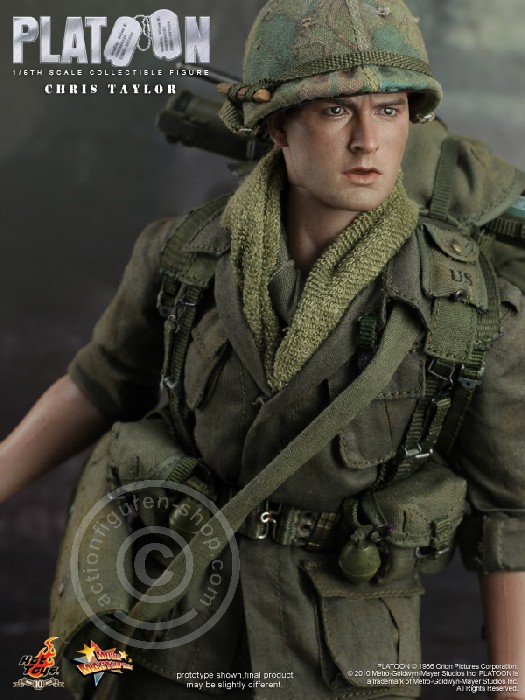 173597-12 Platoon - Chris Taylor