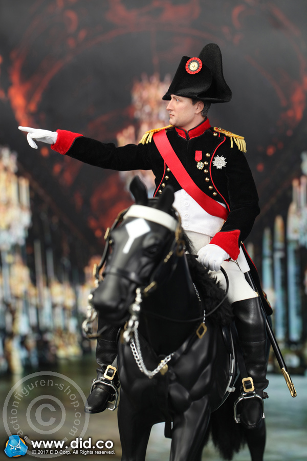 80122-18 Napoleon Bonaparte - Battle Version