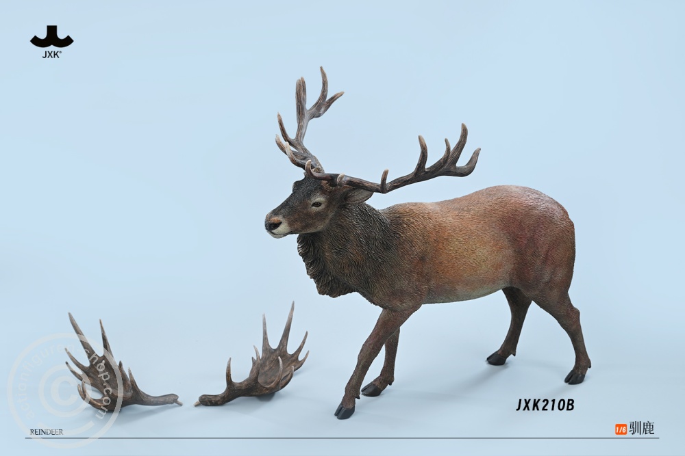 Reindeer - Color B