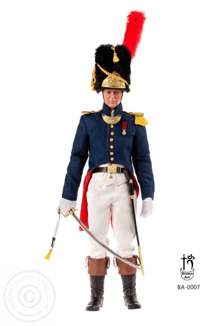 Napoleonic - Subaltern of The French Imperial Guard