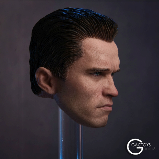 GAC016-02 Arnold Head - Terminator
