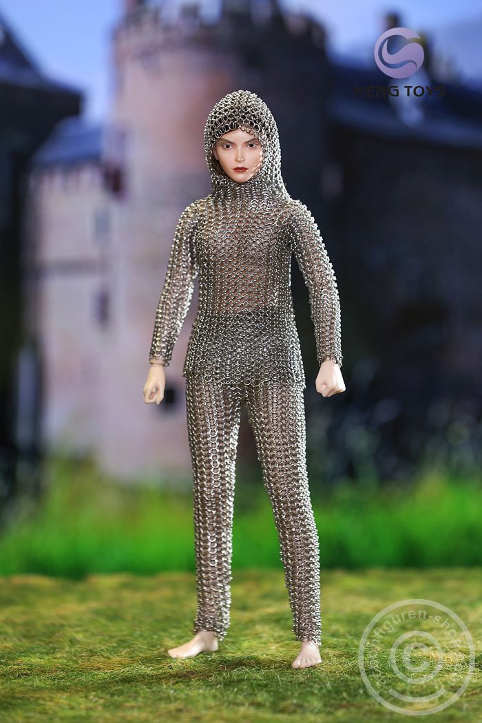 HTG001-02EI0820MMtDdVv Chainmail (Long-sleeve Shirt w/ Hood) - Stainless Steel Armour - female