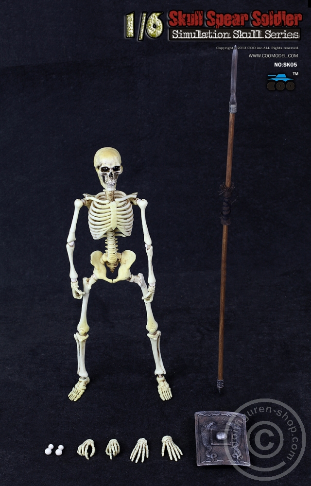 Skeleton Spear Soldier - Human Skeleton in 1:6