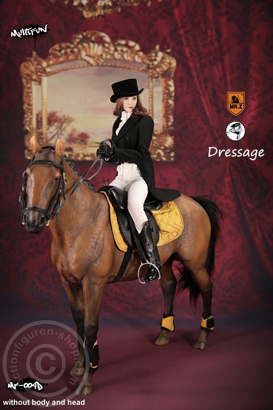 MRZ004B-12 Dressage Set B