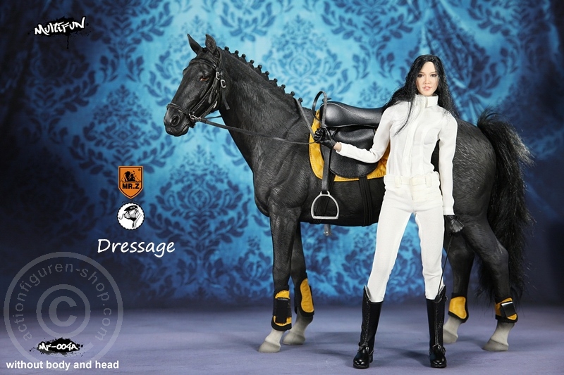 MRZ004A-18 Dressage Set A