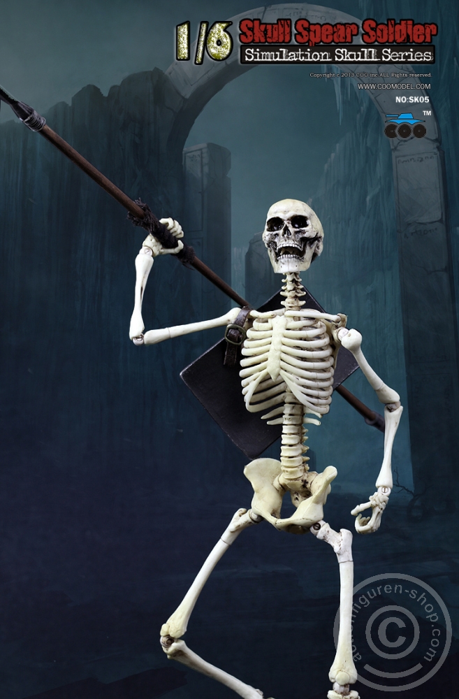 Skeleton Spear Soldier - Human Skeleton in 1:6