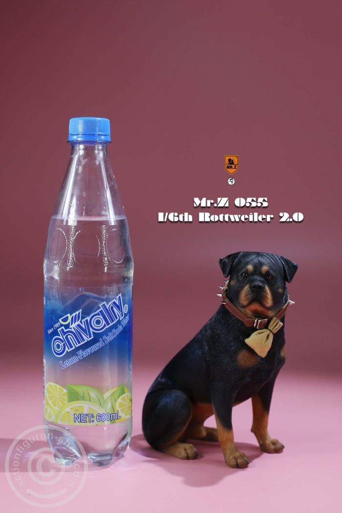 MrZ055B-11 Rottweiler - Version B