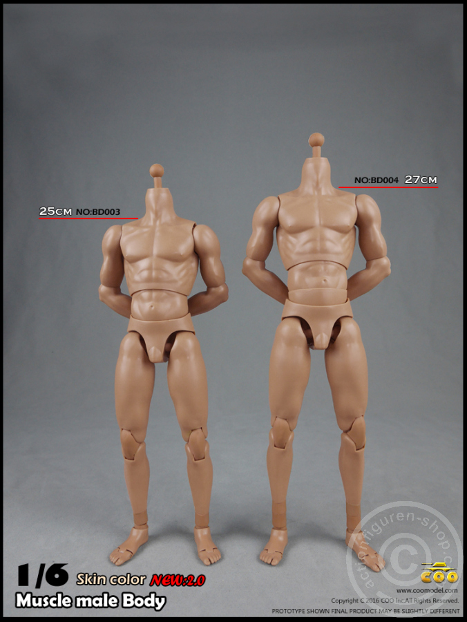 Male Body 2.0 - Muscular - 27cm