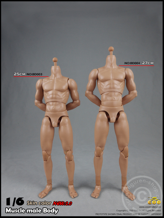 coobd00304-01waJ7tiPjFLUD4 Male Body 2.0 - Muscular - 27cm