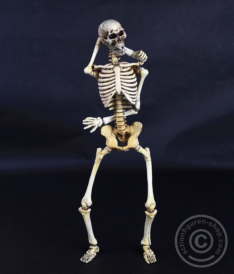 Skeleton Spear Soldier - Human Skeleton in 1:6