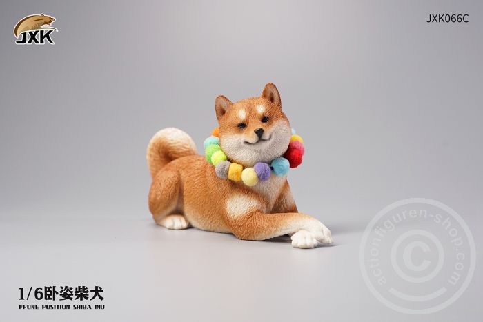 Prone Position Shiba Inu - C