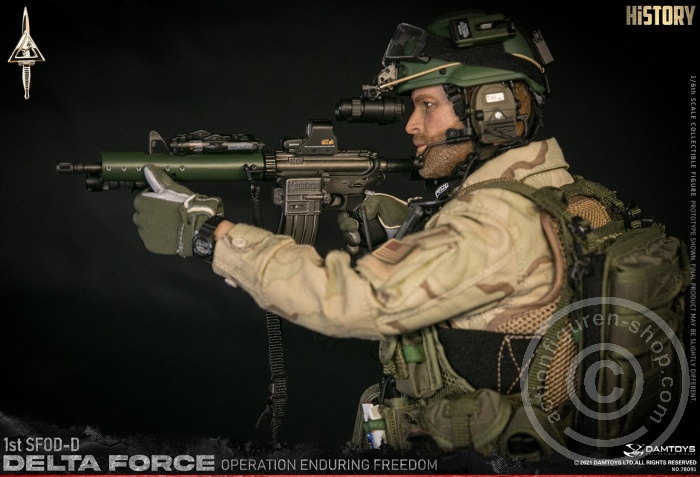 Delta Force 1st SFOD-D -Operation Enduring Freedom