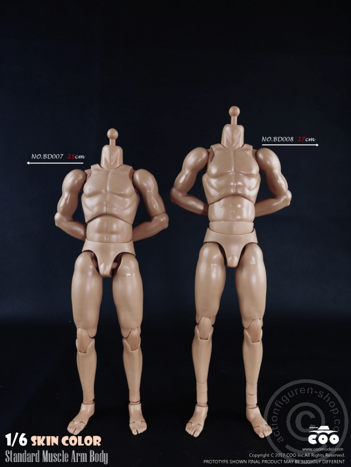 COOBD008-02 Male Body 2.0 - Muscular - 27cm