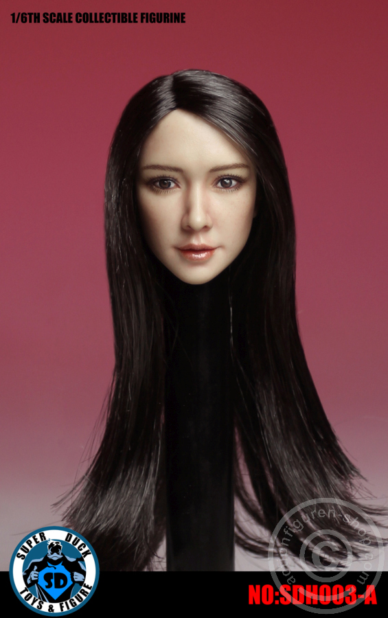 Female Head - long black Hair