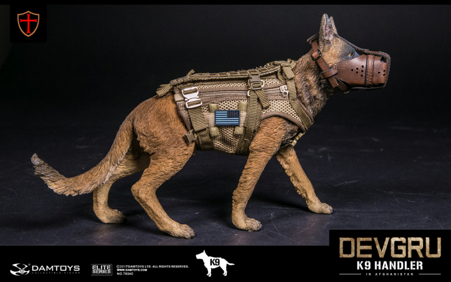 DA78040-17 DEVGRU K9-Handler in Afghanistan