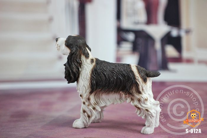 Springer Spaniel