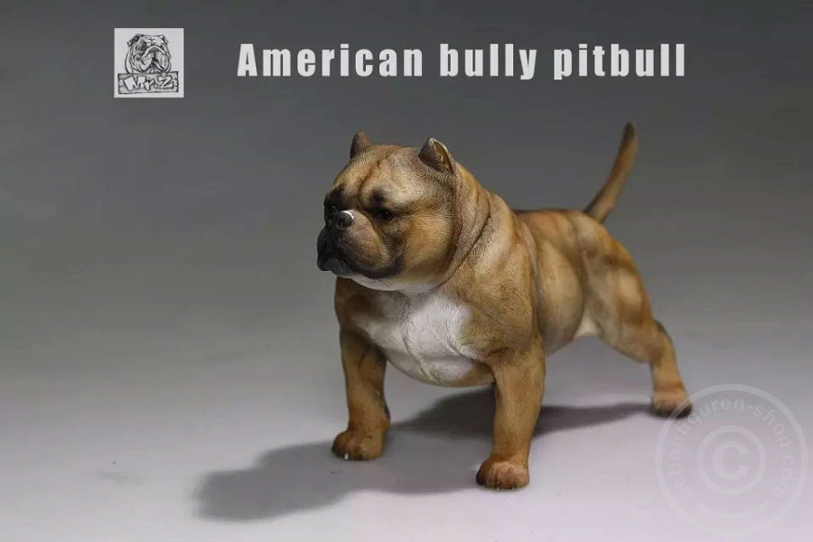 MRZ001-10 American Bully Dog - dark color