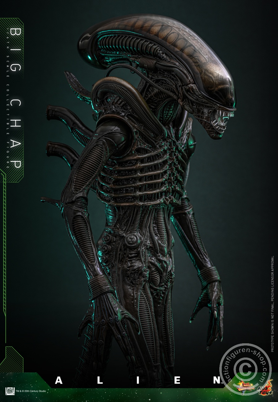 Hot Toys – MMS826 - Alien - 1/6th scale Big Chap Collectible Figure
