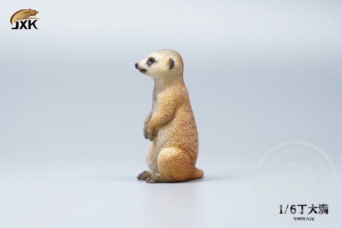 jxk079-037hhnny2mwUPH6 Suricate Set