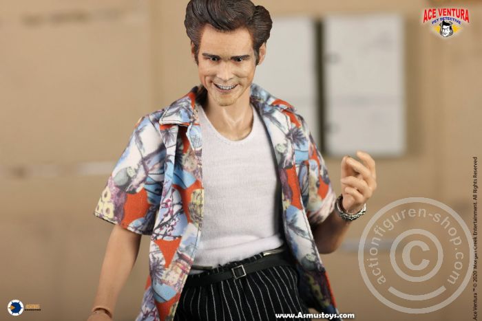 AST068-06 Ace Ventura - Pet Detective