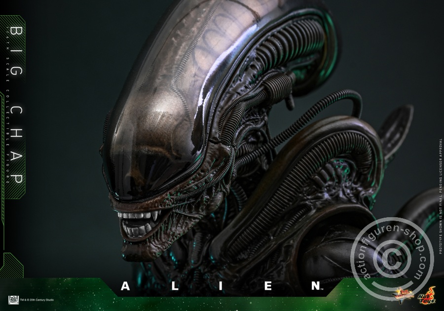 Hot Toys – MMS826 - Alien - 1/6th scale Big Chap Collectible Figure