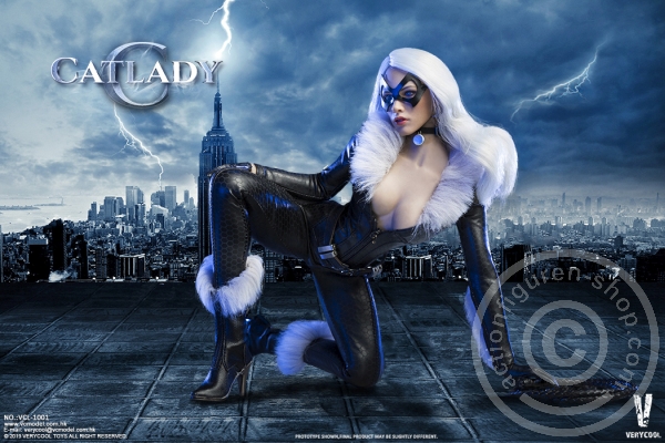 VCL1001-11gBpNShnK0YGcL Catwoman Set