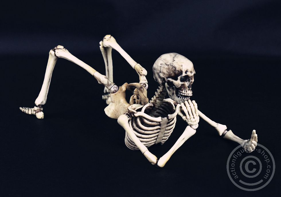 Skeleton Spear Soldier - Human Skeleton in 1:6