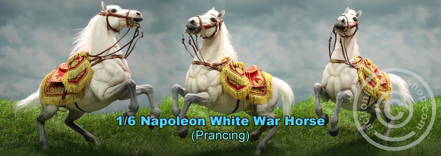 Napoleon White War Horse