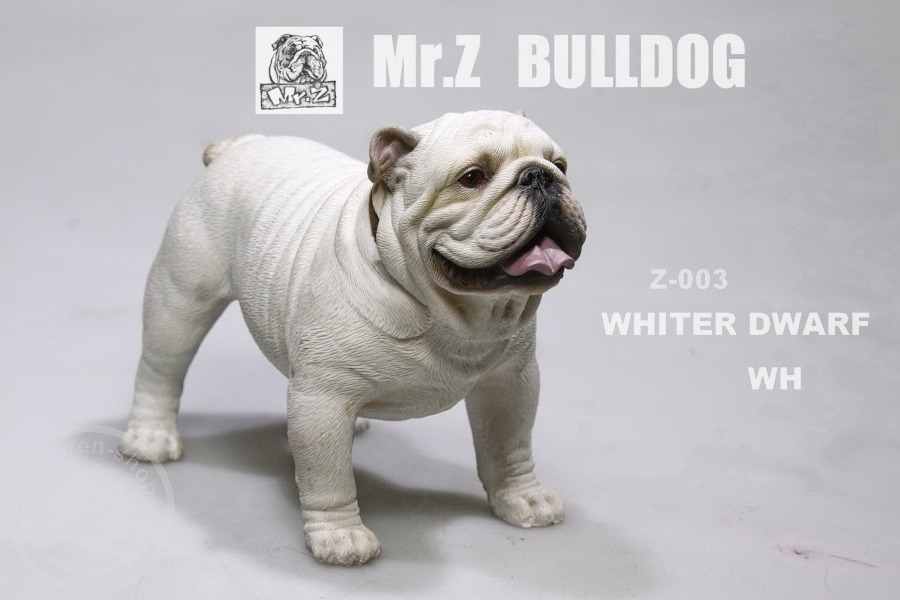 MRZ003-05 British Bulldog - Version 4