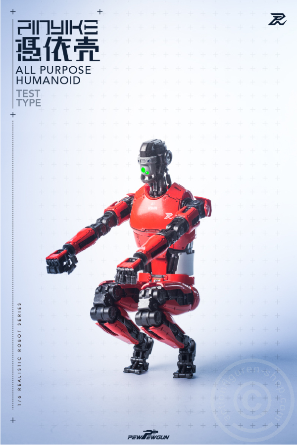 PPG-R-05aYBuOXVIM0bnR PINYIKE - Red: Test Type