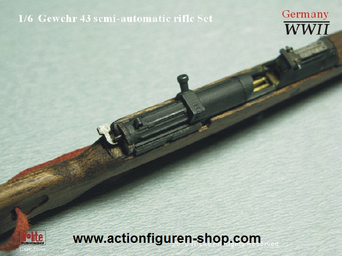TL8011-19 G43 - Halbautomatisches Gewehr