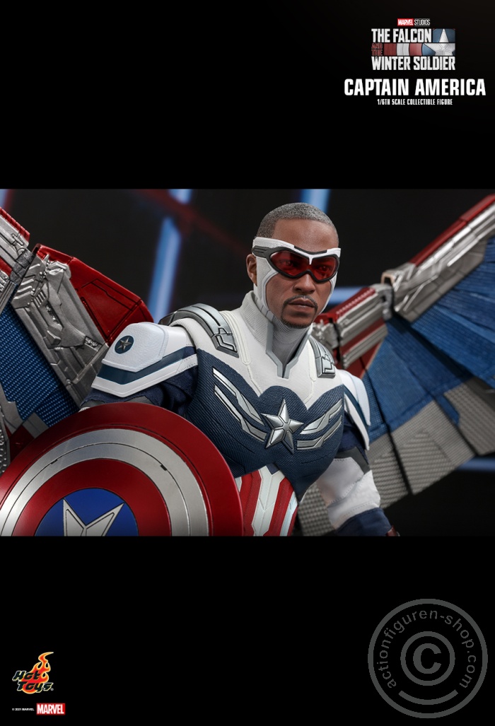 The Falcon and the Winter Soldier - Captain America - TMS040 The Falcon and the Winter Soldier - Captain America - TMS040