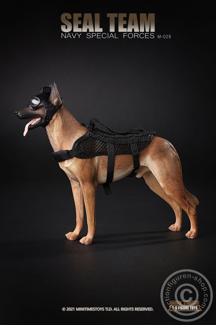 Seal Team - Navy Special Forces w/ Dog