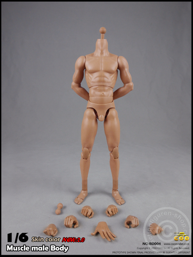 Male Body 2.0 - Muscular - 27cm