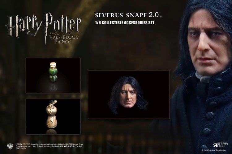Severus Snape 2.0 (Head & Bottle Pack)