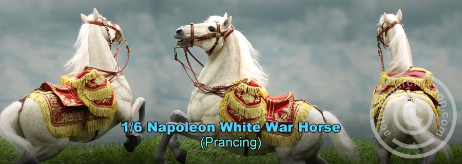 Napoleon White War Horse
