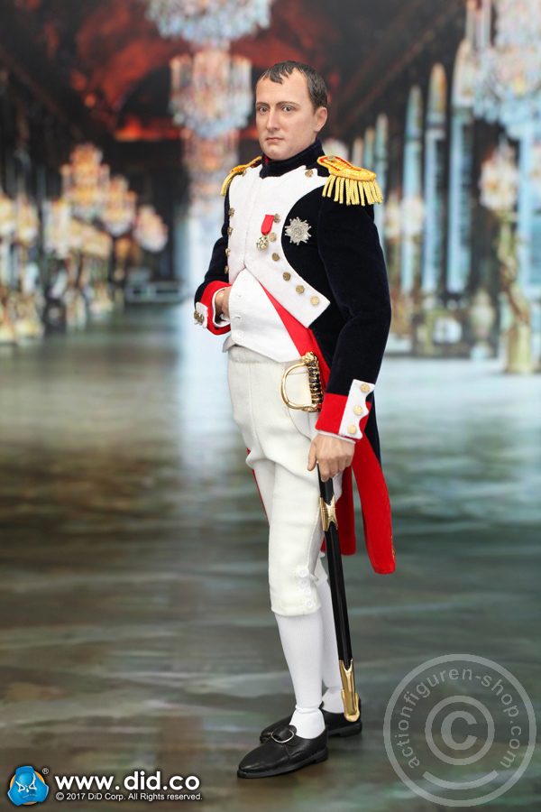 80121-18 Napoleon Bonaparte