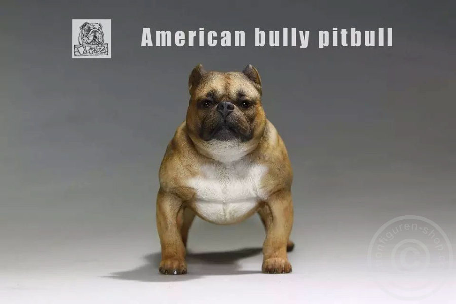 American Bully Dog - dark color